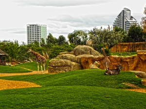 Bioparc Valencia