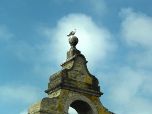 Discover Peniche Portugal