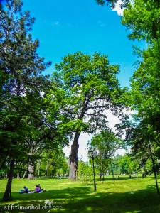 Mogosoaia Palace - day trip from Bucharest