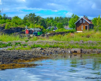 A cruise on the Oslofjord departing from Oslo