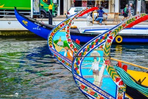 The Charming Aveiro