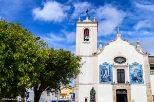 The Charming Aveiro