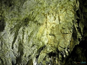 Valea Cetatii Cave, Rasnov