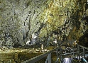 Valea Cetatii Cave, Rasnov