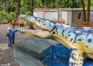 Dino Park, Rasnov