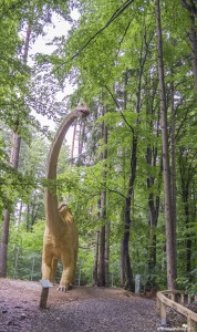 Dino Park, Rasnov