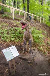 Dino Park, Rasnov