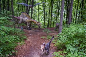 Dino Park, Rasnov