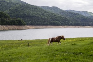 Vidraru Lake - the third stop on the Transfagarasan road