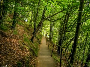 Poenari Citadel - the second stop on the Transfagarasan road