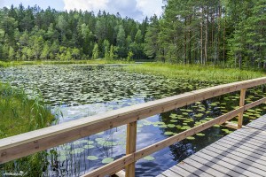 First lake of the Nuuksio National Park