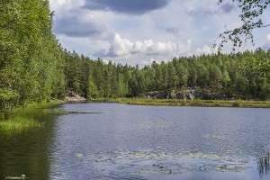 A gorgeous lake at the Nuuksio National Park