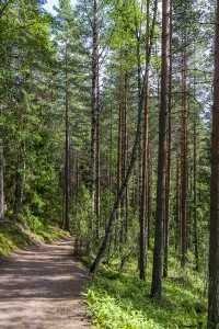 Nuuksio National Park