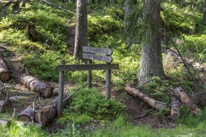 Very clear directions for each route in the Nuuksio National Park