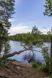 Nuuksio National Park