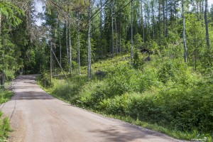 Path to the entrance of the Nuuksio National Park