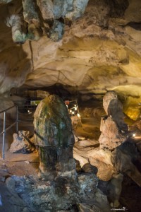 What to see in Malta: Ghar Dalam prehistoric cave