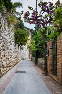 Streets in Capri