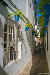 Calle de las Flores in Cordoba