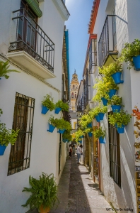 Calle de las Flores in Cordoba