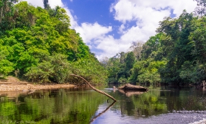 Taman Negara, Malaysia