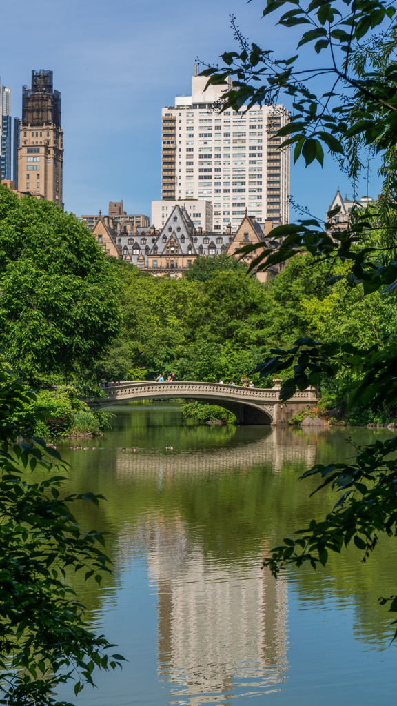 Central Park, New York