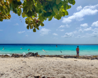 The wonderful ABC islands of Aruba, Bonaire and Curacao