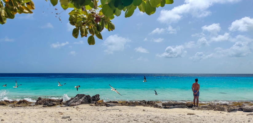 The wonderful ABC islands of Aruba, Bonaire and Curacao